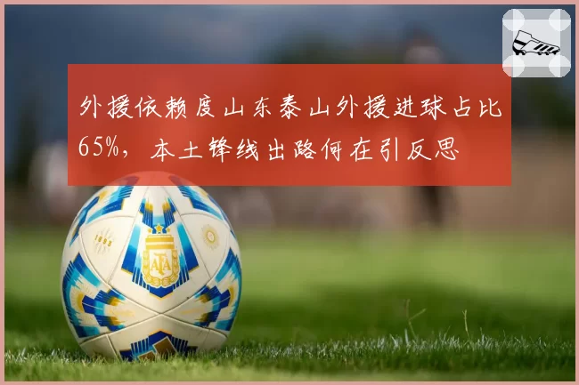 外援依赖度山东泰山外援进球占比65%,本土锋线出路何在引反思