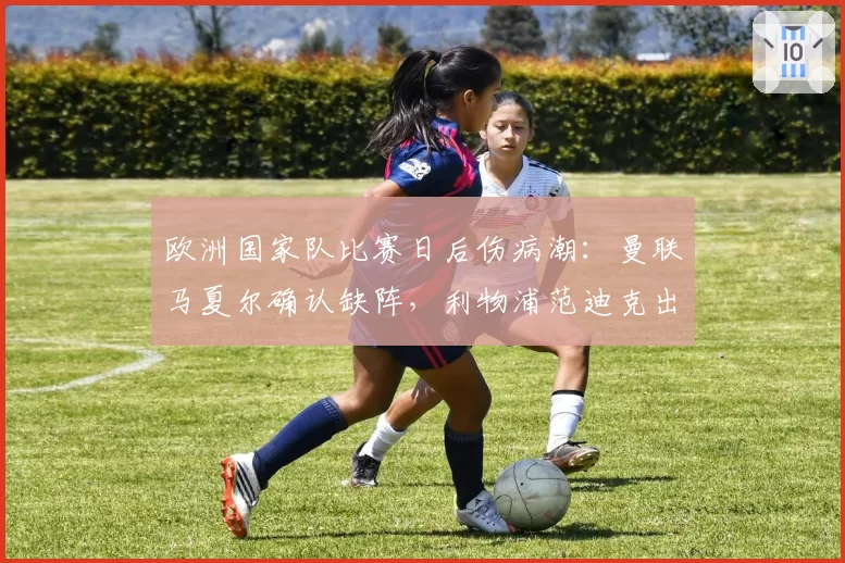 欧洲国家队比赛日后伤病潮：曼联马夏尔确认缺阵，利物浦范迪克出战成疑